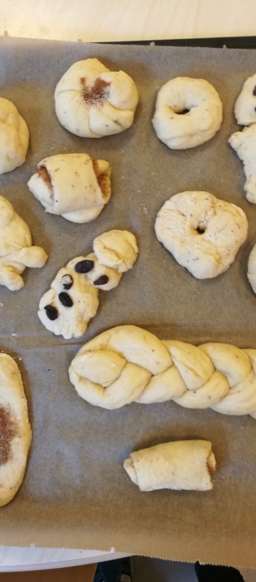 Murron varkkaolkkari